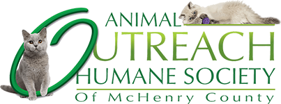 Feature Image for Animal Outreach Humane Society